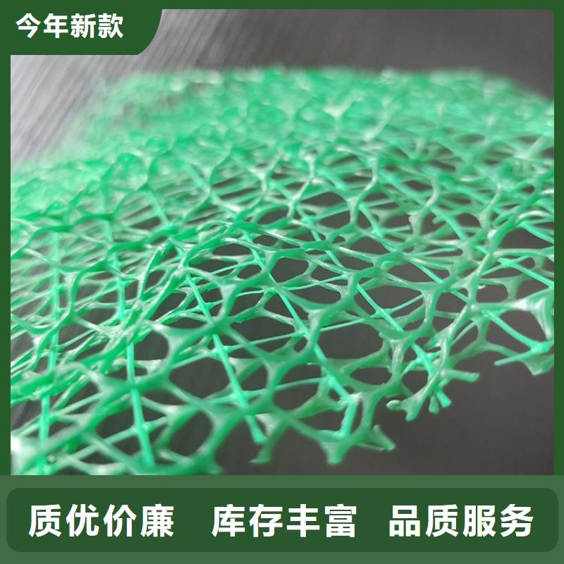 三维土工网垫-三维固土网垫质检合格出厂