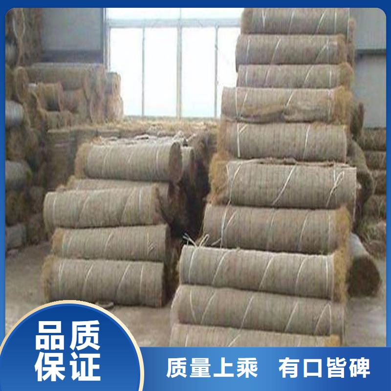 椰纤植生毯-抗冲加筋生态毯-稻草植生毯本地生产商