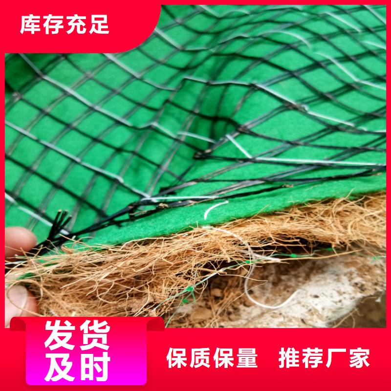 鄂州植物绿化纤维毯-加筋抗冲植草毯