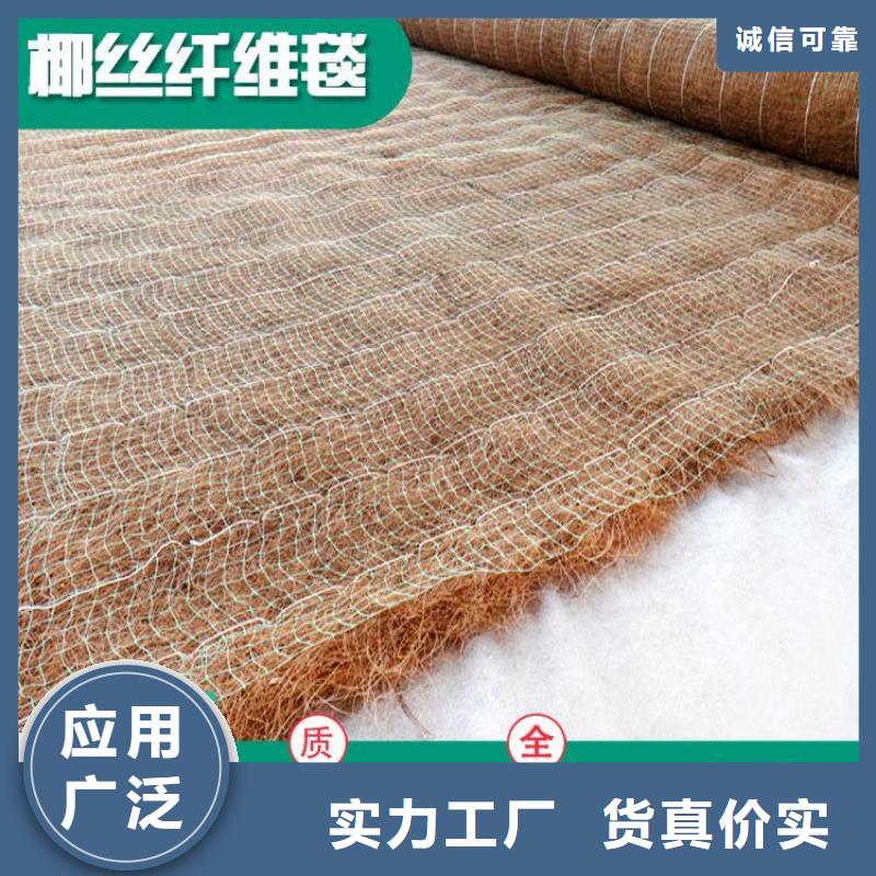 椰纤植生毯-椰纤维毯-绿化生态毯本地厂家