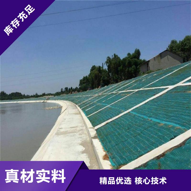 乐东县椰纤植生毯-护坡植被植草毯防渗工程施工精选好货