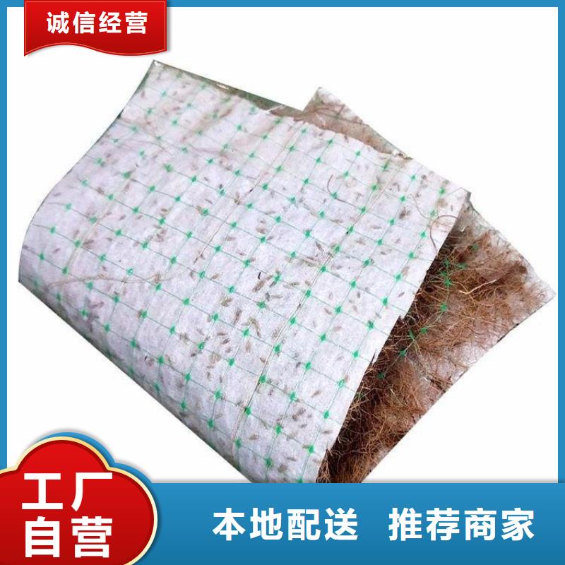 六安植物生态防护毯椰纤毯