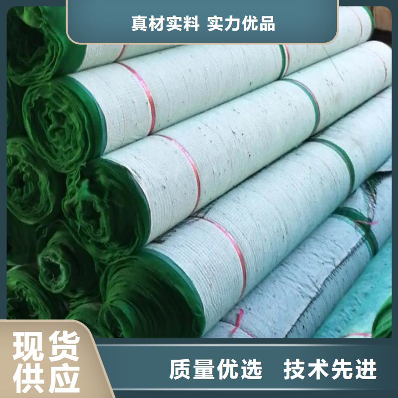 加筋抗冲生物毯植物纤维草毯现货销售