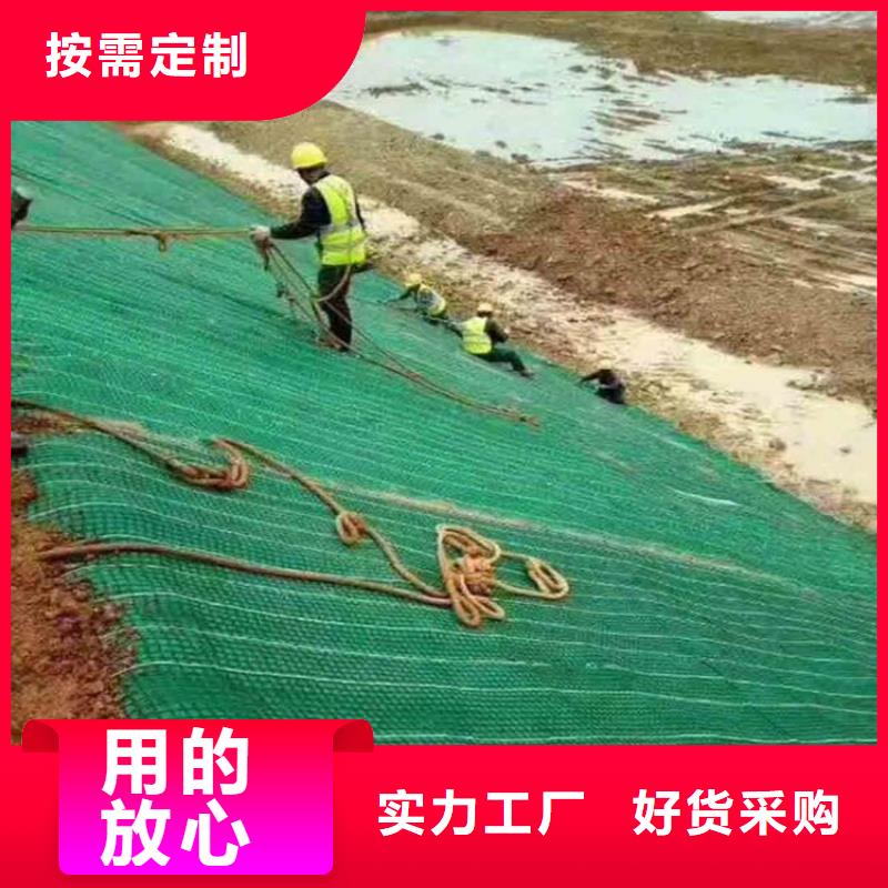桂林植物生态防护毯-加筋抗冲生物毯