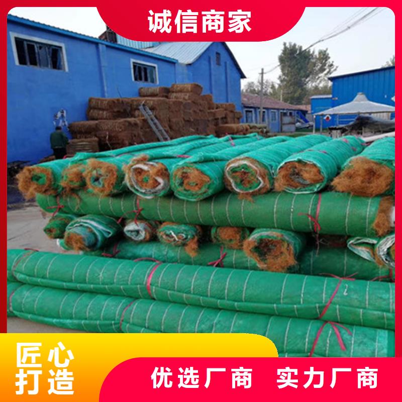 护坡植被植草毯-椰纤植生毯当地生产商
