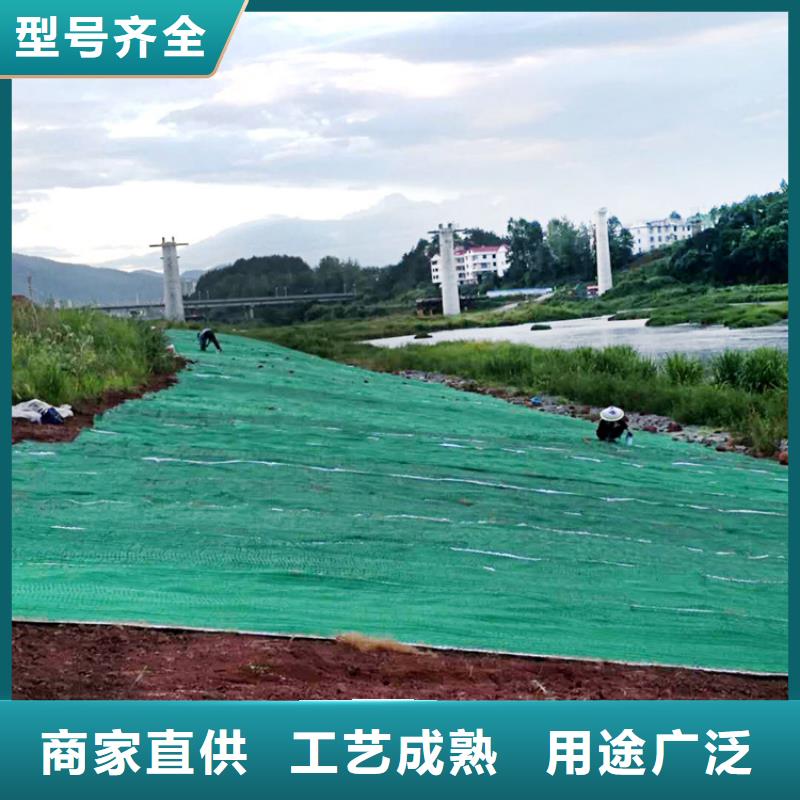 植物纤维毯-植物生态防护毯-抗冲植物毯同城供应商