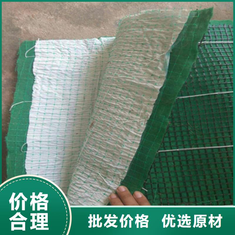 植生椰丝毯-加筋抗冲生态毯品质保障价格合理