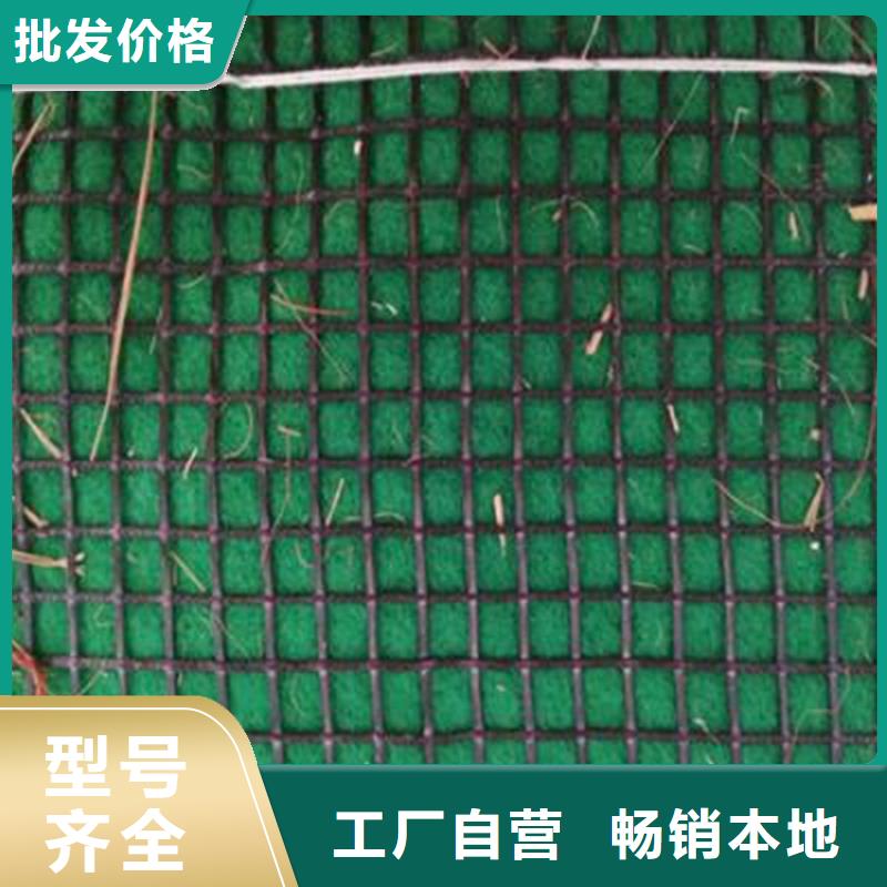 ​广州植生椰丝毯-加筋抗冲生态毯-可降解环保草毯