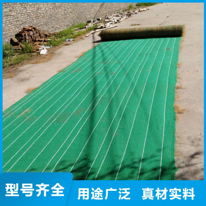植生椰丝毯-植物生态防护毯质量优选