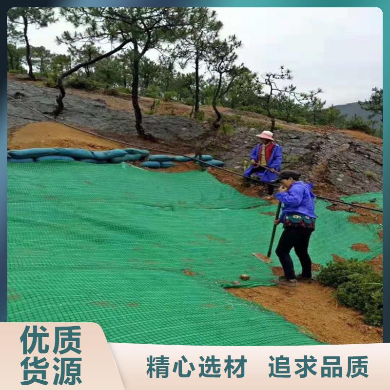 枣庄植物生态防护毯-椰丝绿化保护毯