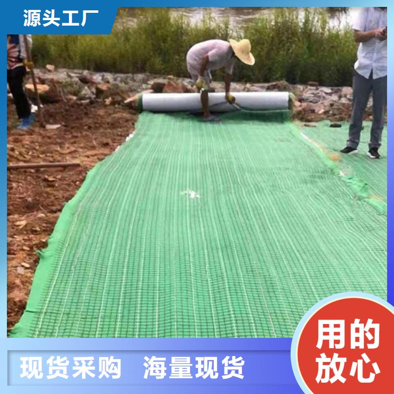 植物生态防护毯-椰丝纤维毯当地服务商