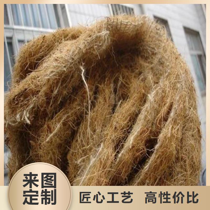 植生椰丝毯-加筋抗冲生物毯-护坡植物纤维毯优选货源