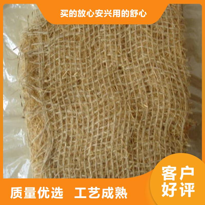 植生椰丝毯-加筋抗冲生物毯本地生产厂家