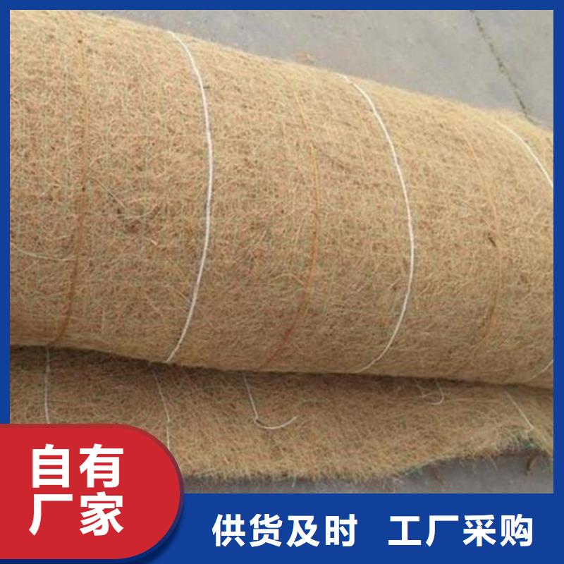 广州植生椰丝毯-植物生态防护毯-生态椰丝毯