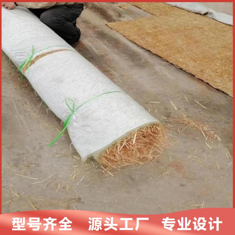 内蒙古植生椰丝毯-椰丝纤维毯-加筋复合环保草毯