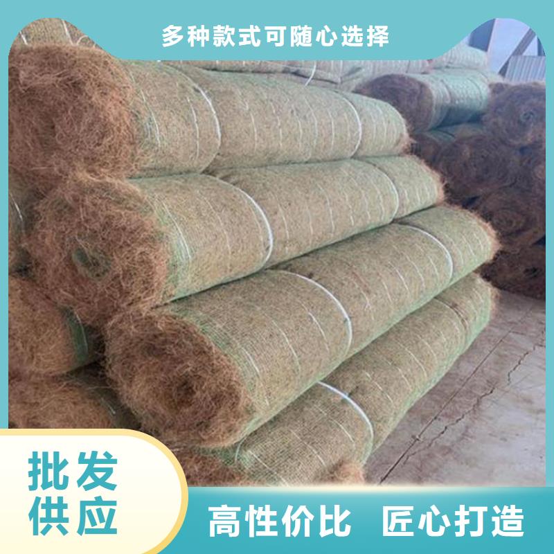 稻草植生毯-绿化毯本地厂家