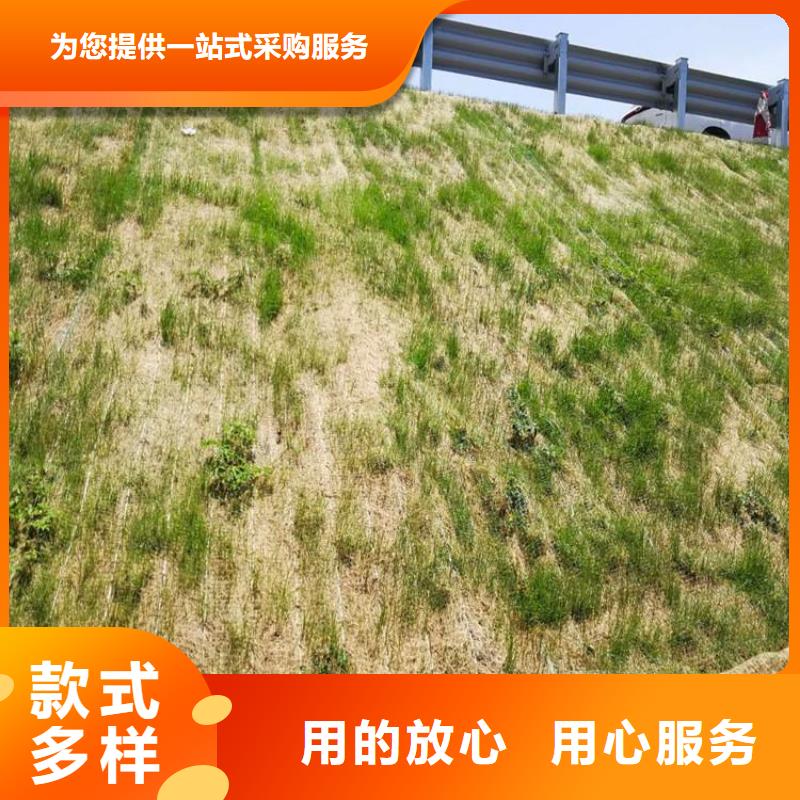 鄂州秸秆稻草毯-生态草毯
