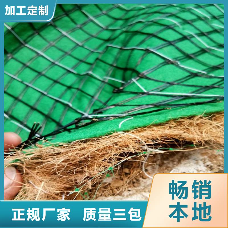 江西椰纤植生毯 -加筋抗冲生物毯