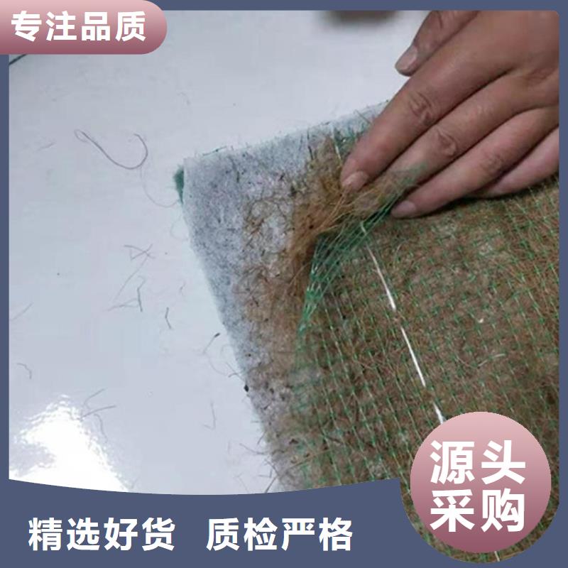 椰纤植生毯-加筋抗冲生物毯-生态椰丝毯价格合理