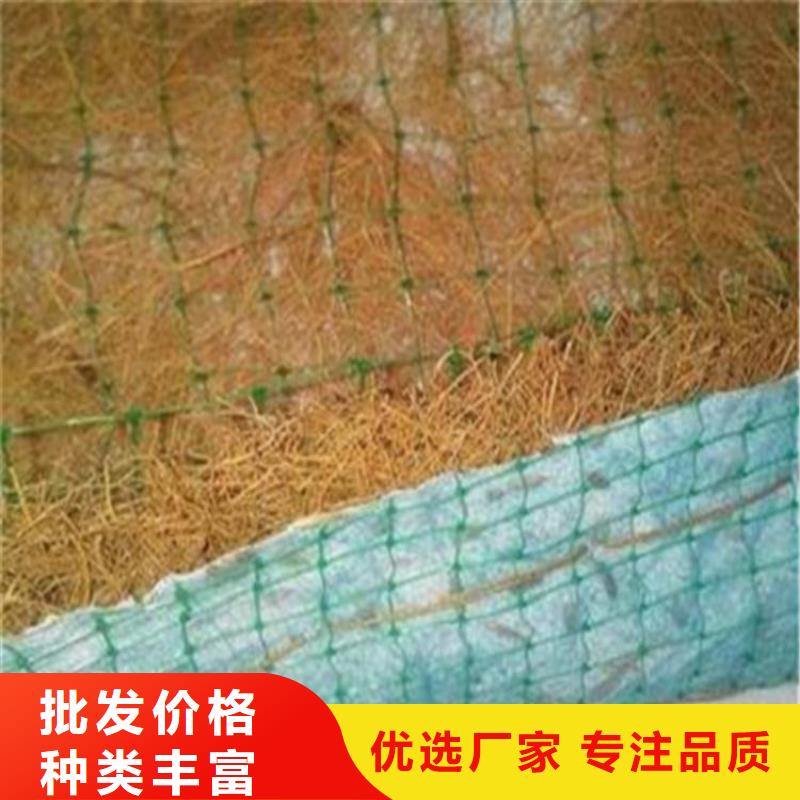 生态环保草毯-椰纤植生毯实时报价