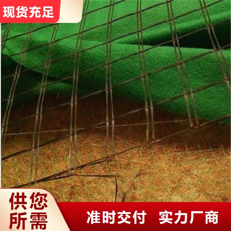 植物生态防护毯-加筋抗冲生态毯当地生产商