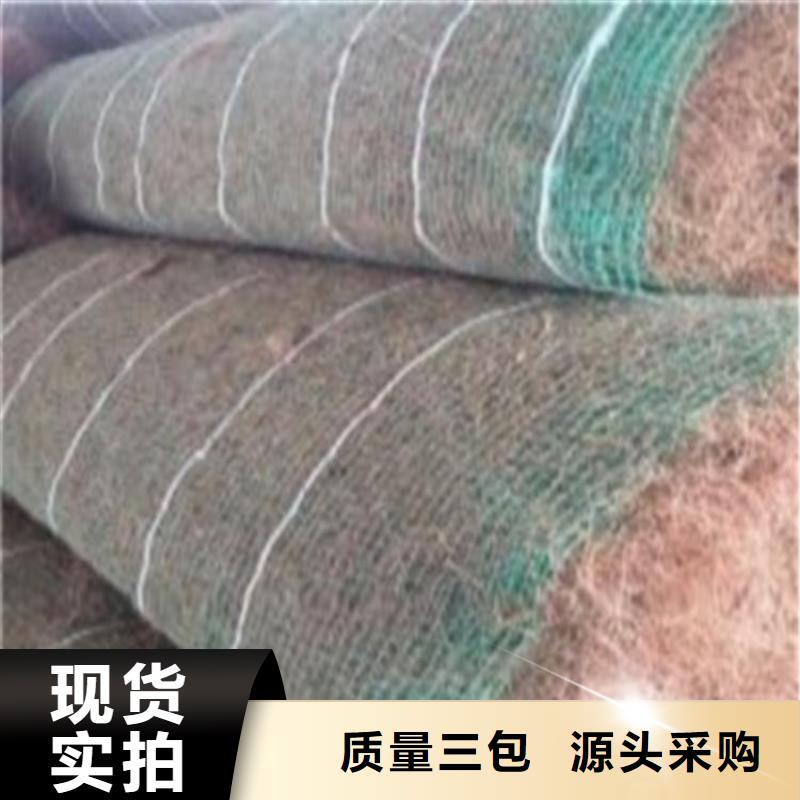 生态环保草毯-植物纤维毯-椰丝护坡毯精致工艺