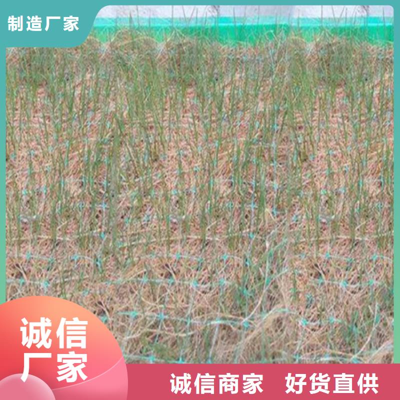 铜川椰纤植生毯 -护坡植被植草毯