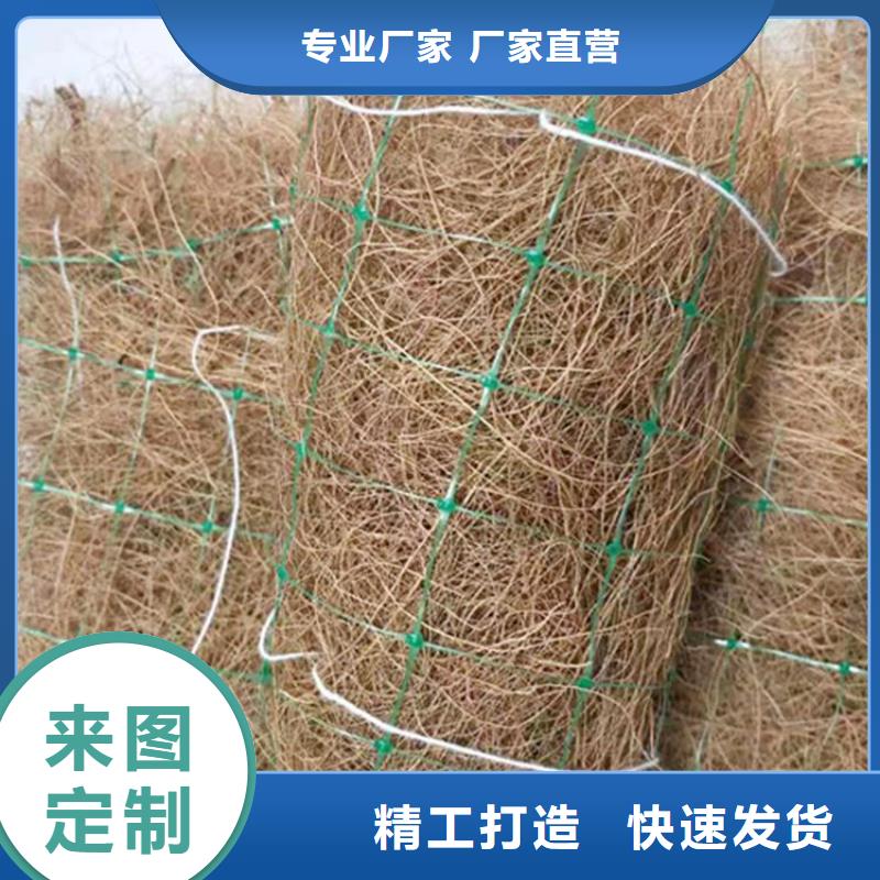 植生椰丝毯-植物纤维毯-护坡绿化椰丝毯本地服务商