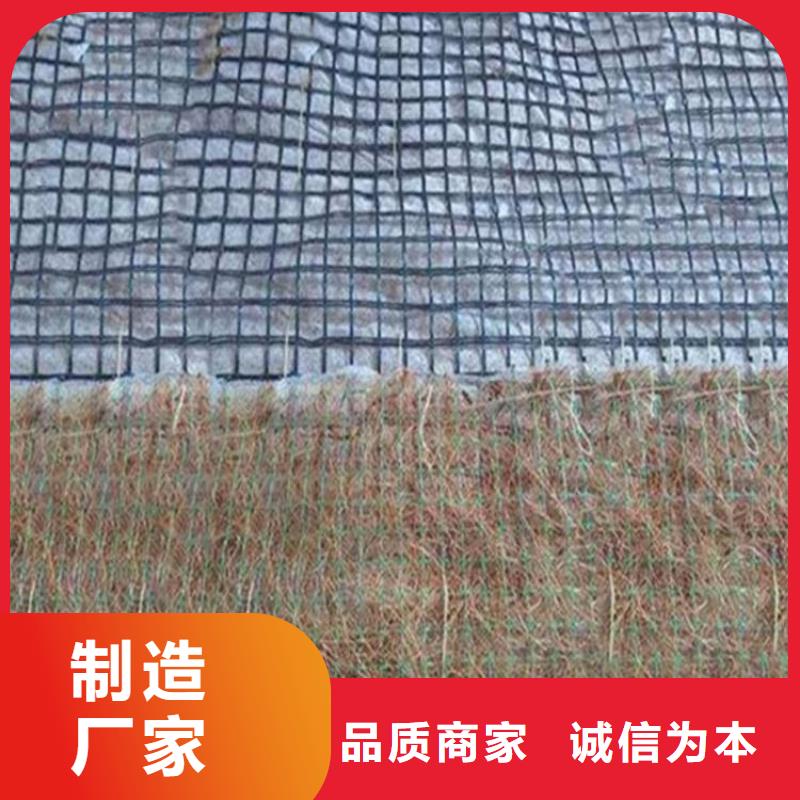 植物纤维毯-加筋抗冲生物毯-抗冲刷生态毯当地生产厂家