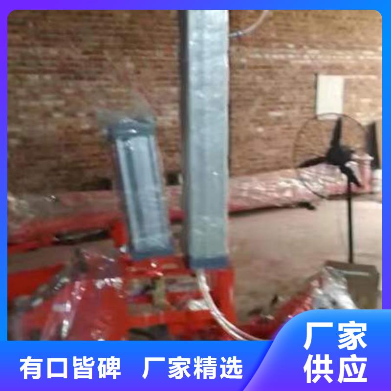 上海上海电动玻璃吸盘出租规格齐全