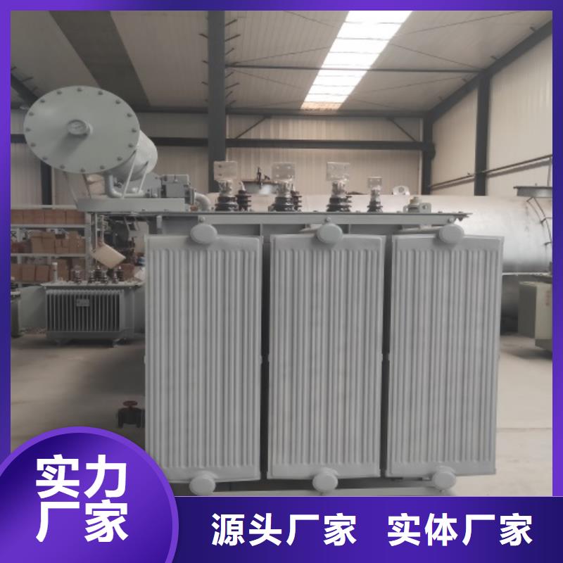 湘潭工地油浸式变压器图片制造厂家
