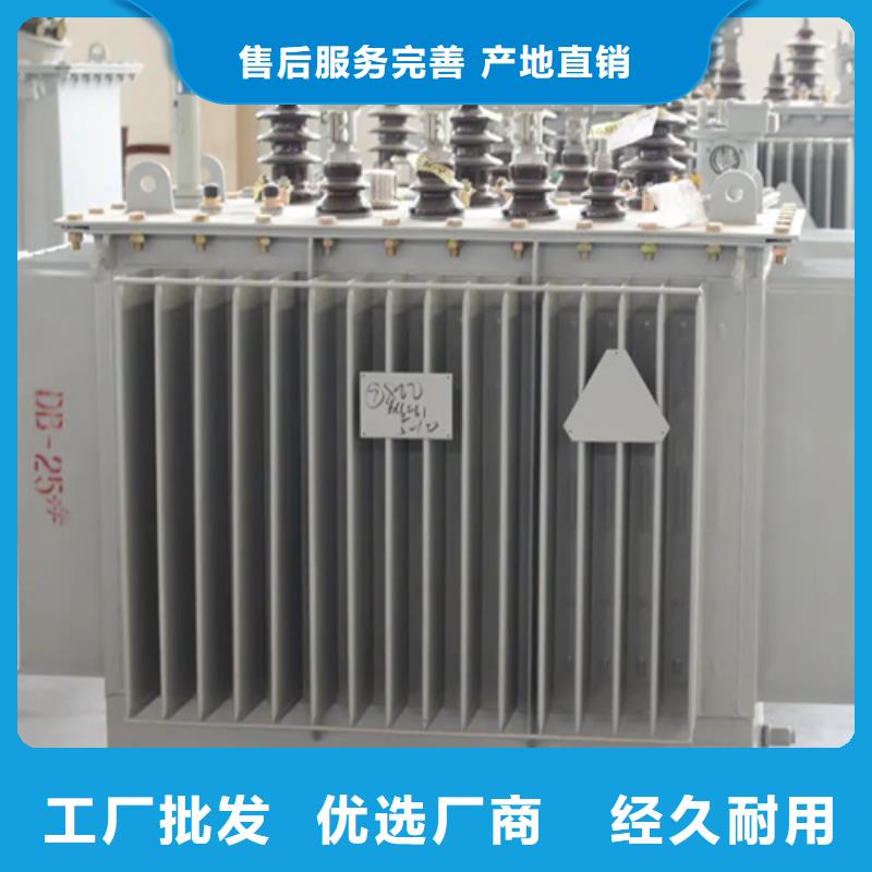 南京s11-m-160/10油浸式变压器安装