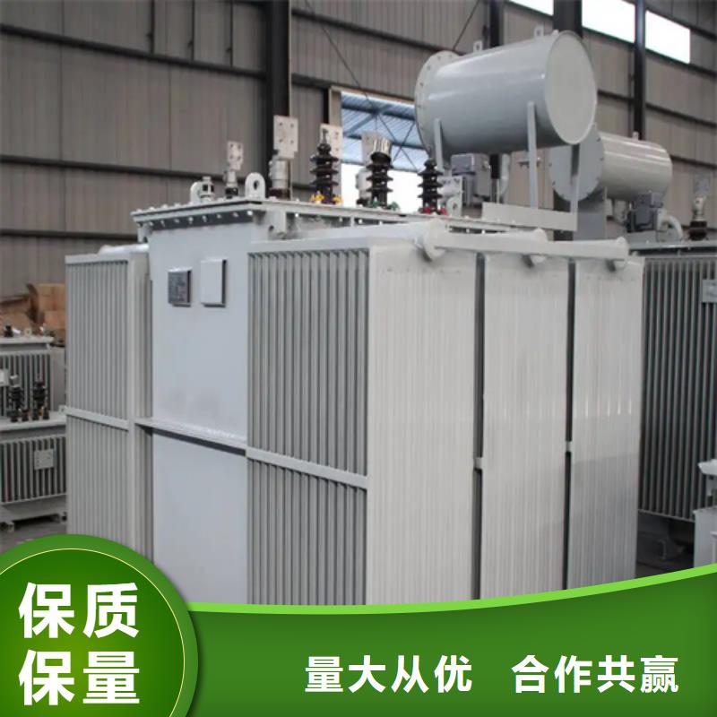 2022出厂价#邯郸s11-m-800/10油浸式变压器公司#可配送
