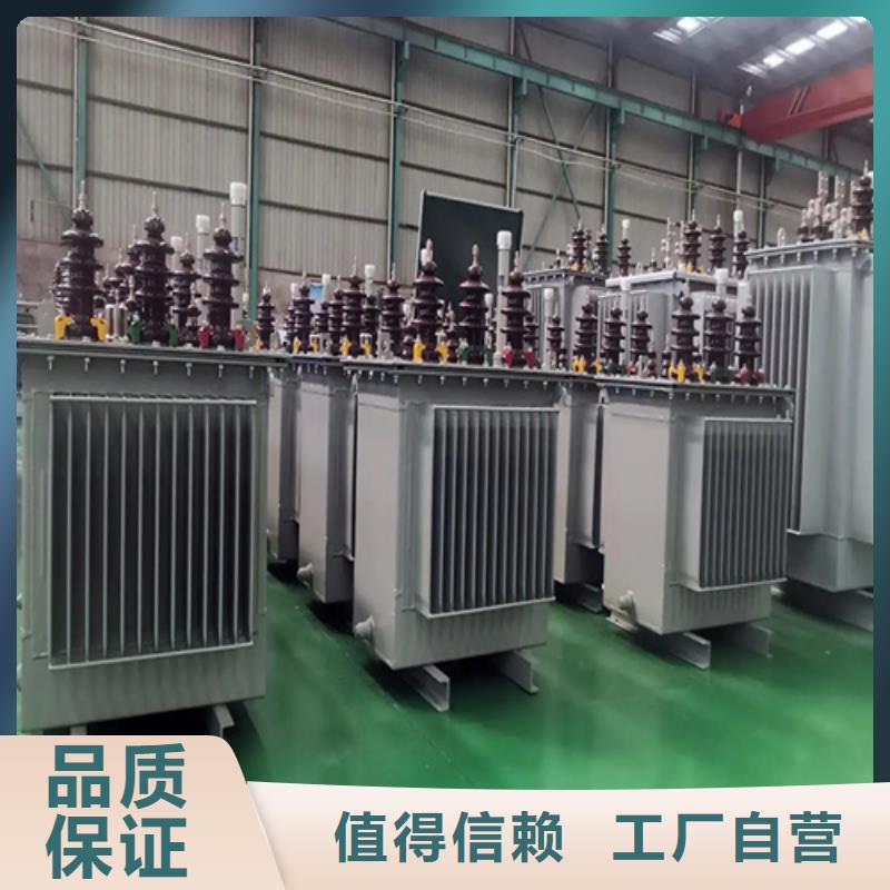 连云港常年供应S20-m-250/10油浸式变压器-大型厂家