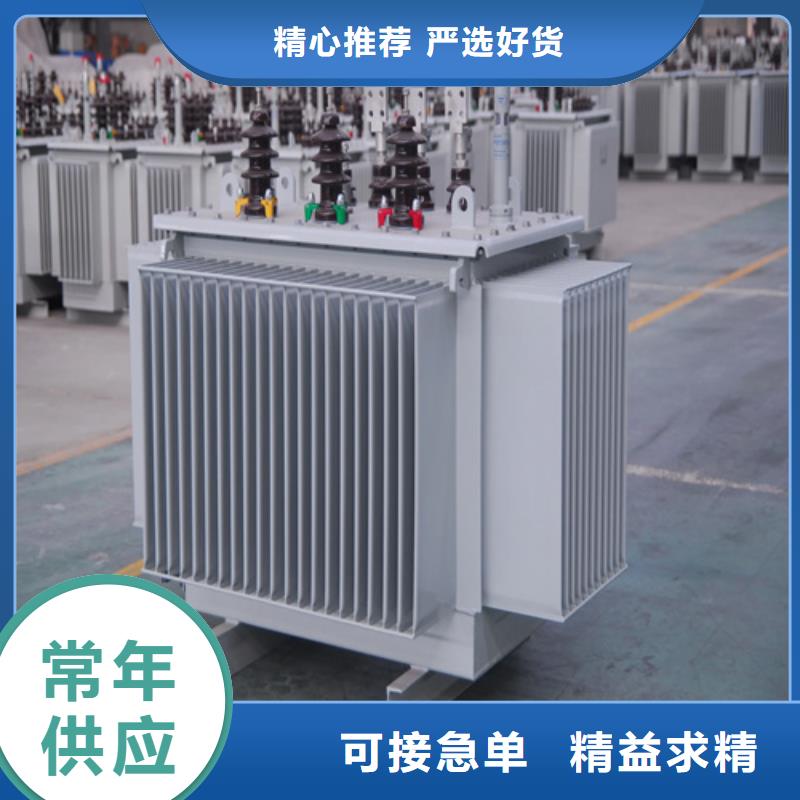 宁德s11-m-100/10油浸式变压器_生产厂家_品质保证