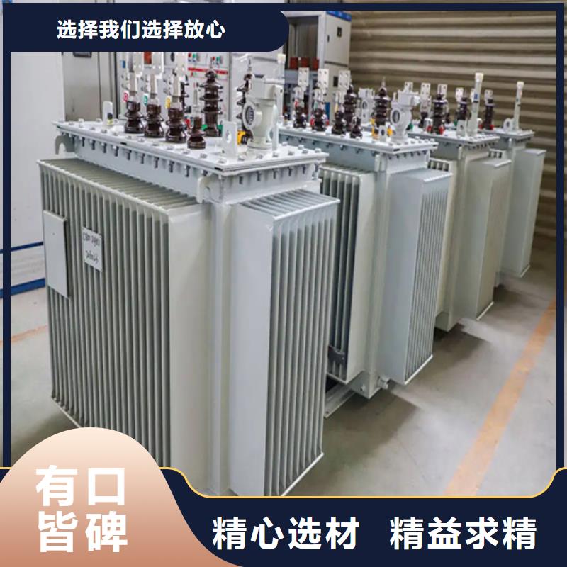 安徽s11-m-315/10油浸式变压器-实体厂家