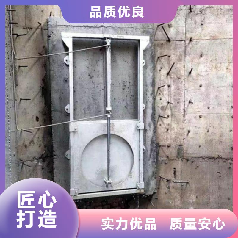 湖北荆州公安县分流液压钢制闸门