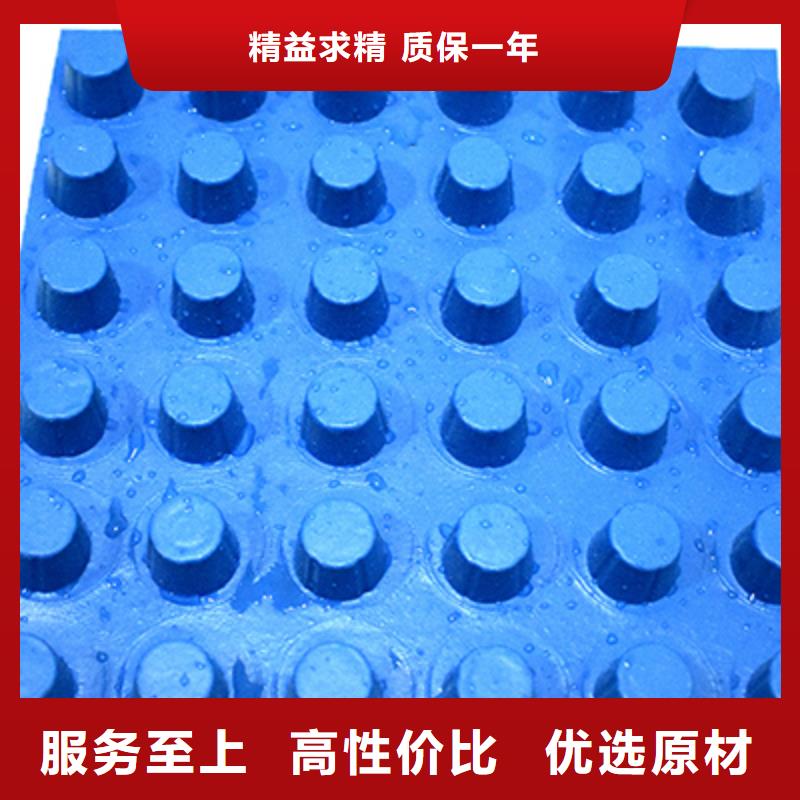 镇江排水板-高分子排水异形片公司