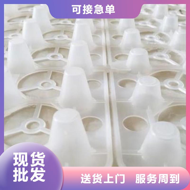 北京塑料排水板——联系热线