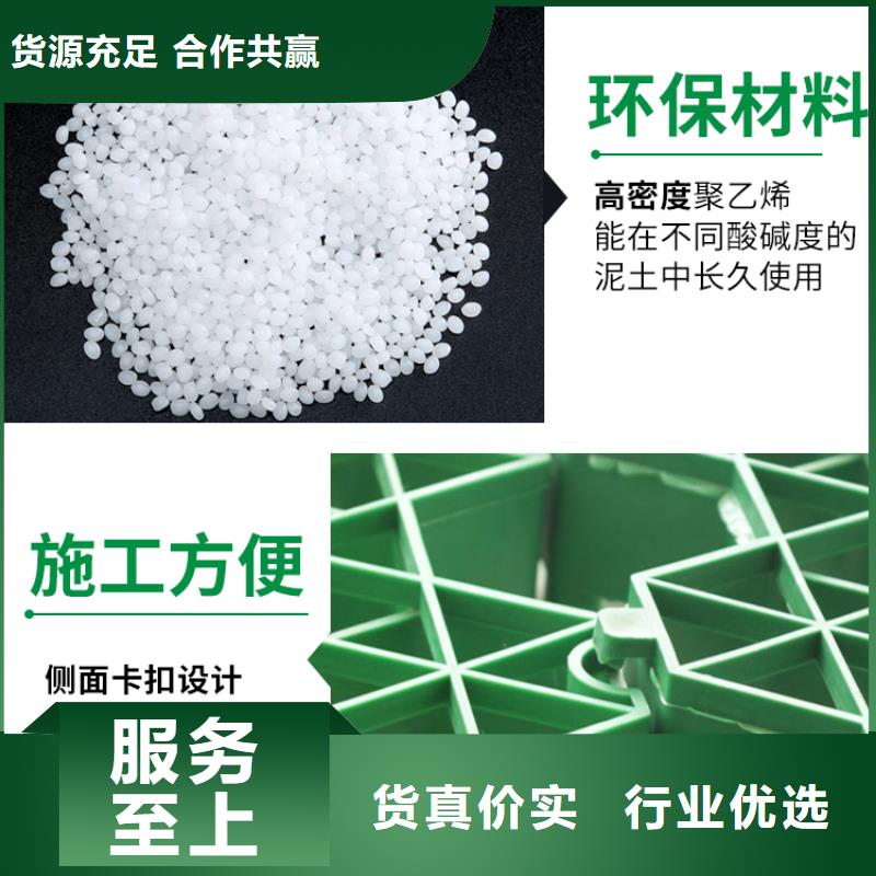 塑料植草格-3公分植草格现货发售低价货源