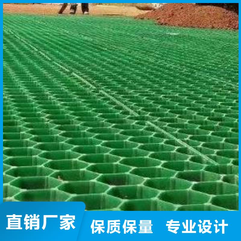 塑料植草格生产厂家朋联当地公司