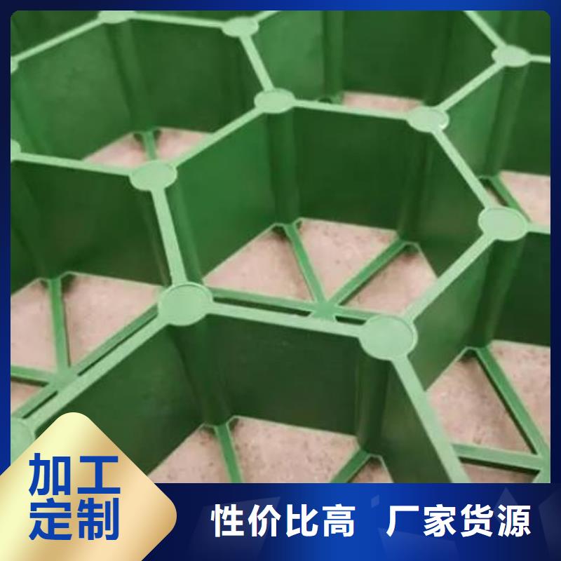塑料植草格厂家更新中国标检测放心购买