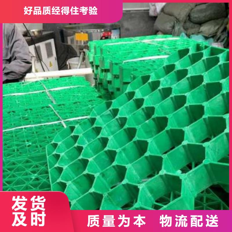 朝阳塑料植草格生产厂家朋联