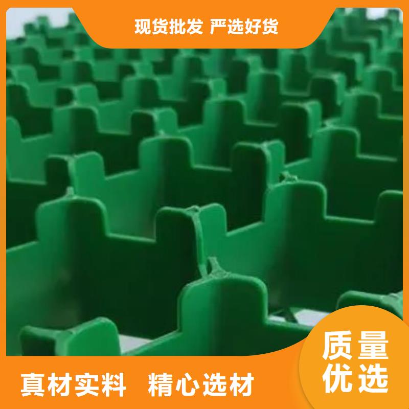 荆州塑料植草格价格