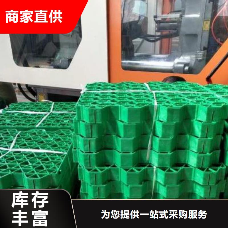 潍坊塑料植草格本地厂家-现货发售