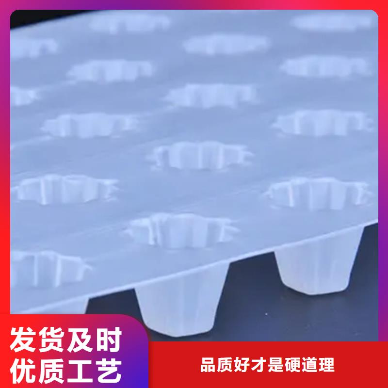 枣庄塑料排水板工厂直销
