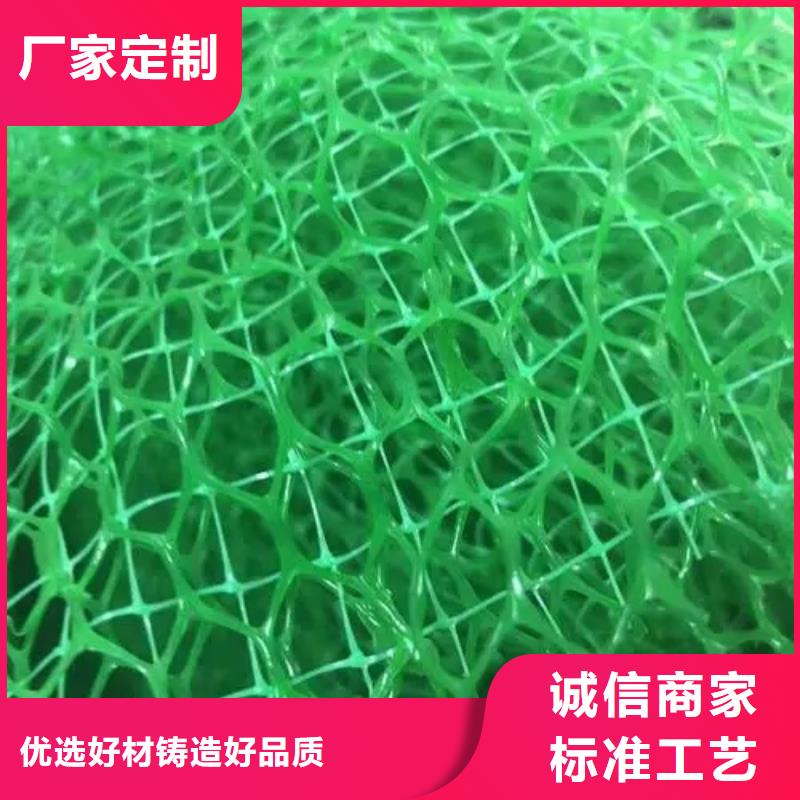 三维土工网垫生产工厂-现价应用广泛