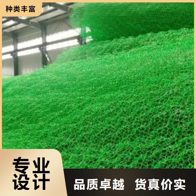 三维植被网边坡复绿精工细作品质优良