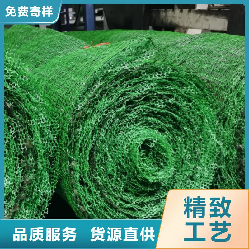 三维土工网垫-三维植被网厂家本地经销商