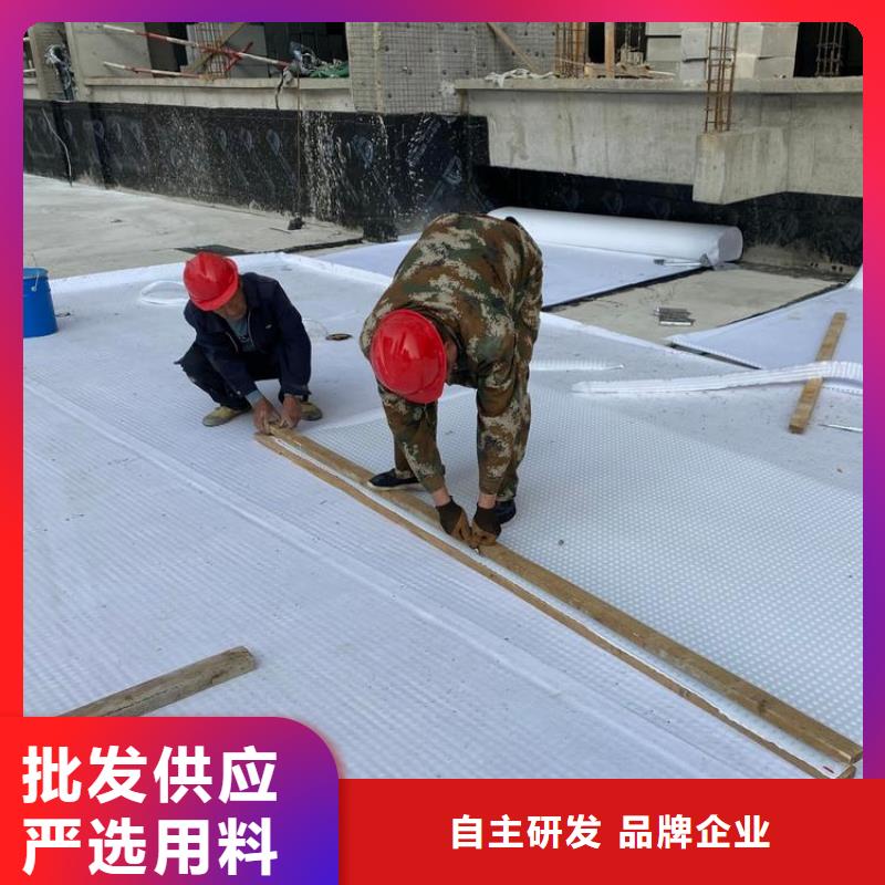 荆州凹凸排水板-欢迎致电